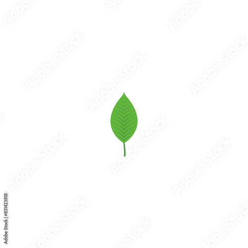 Green Leaf Vector