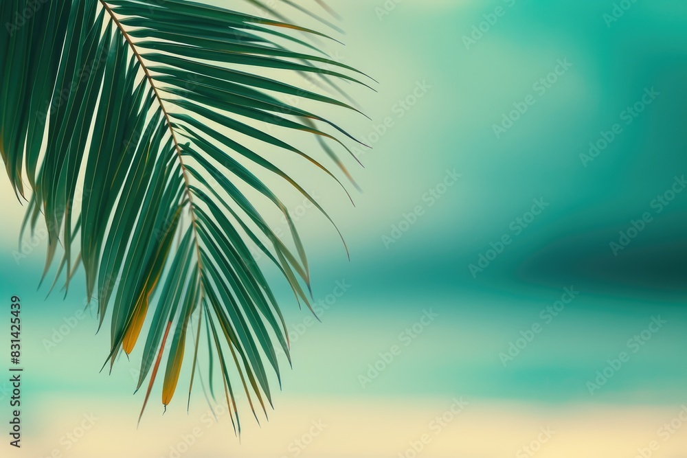 Sunlit Tropical Beach with Greenery