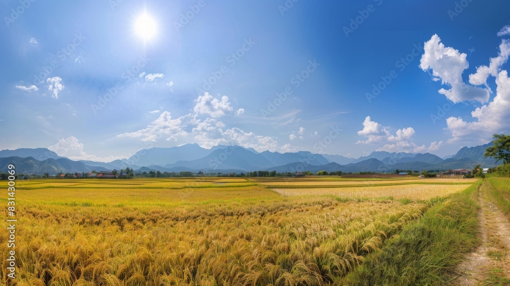 Panoramic view of a rural landscape with golden rice fields stretching to the horizon, symbolizing the bounty of nature and the cycle of life