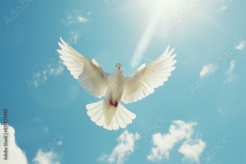 White dove in flight with outstretched wings against a sunlit blue sky and fluffy clouds