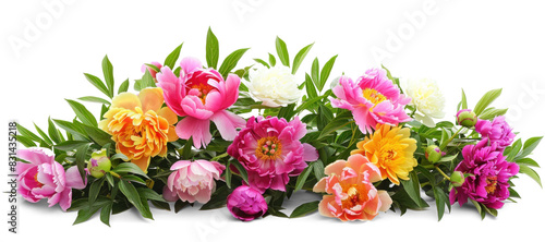 Fototapeta Naklejka Na Ścianę i Meble -  Colourful flowers bush with peonies on transparent background