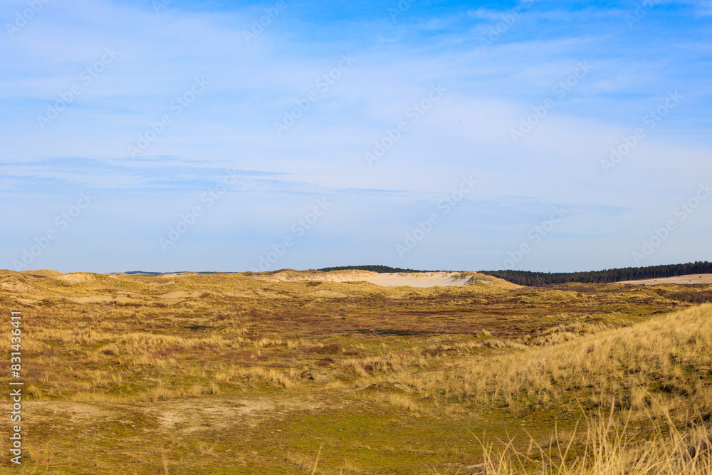Dune landscape in the Dutch town of Bergen and Zee on a sunny day with a blue sky Dune landscape in the Dutch town of Bergen and Zee on a sunny day with a blue sky