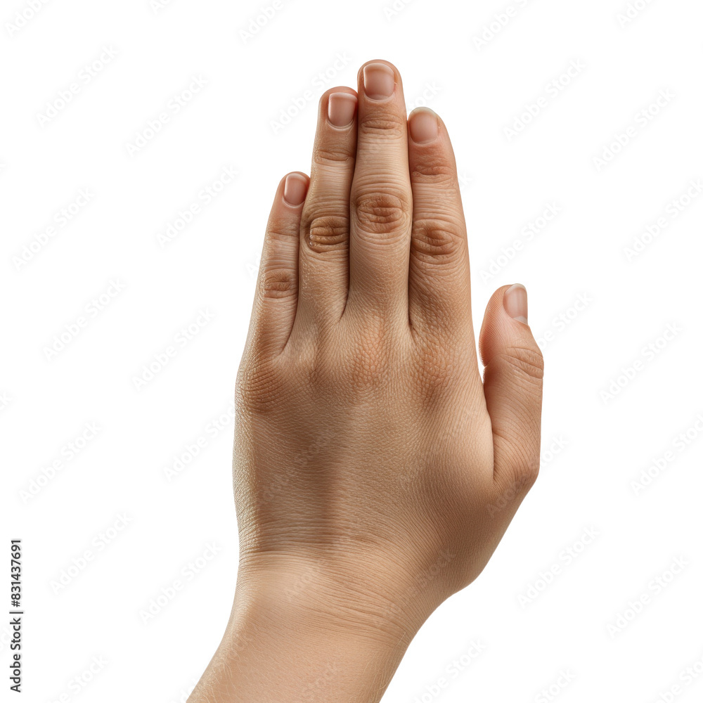 Praying Hand Gesture on Transparent Background Praying Hand Gesture on Transparent Background