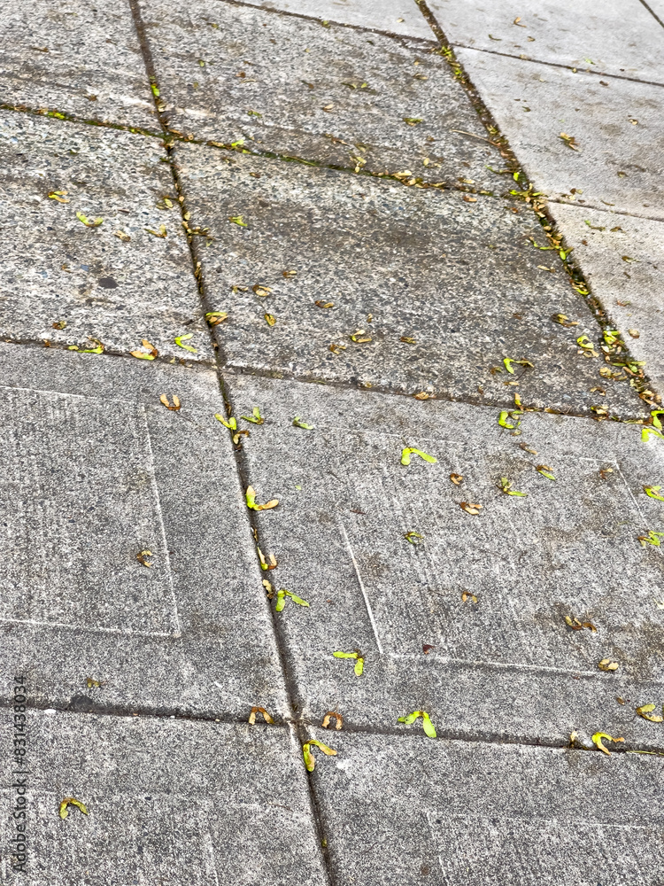 Obraz premium A suburban sidewalk