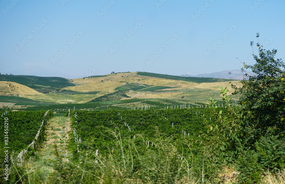 Fototapeta premium gardens and blue sky visible