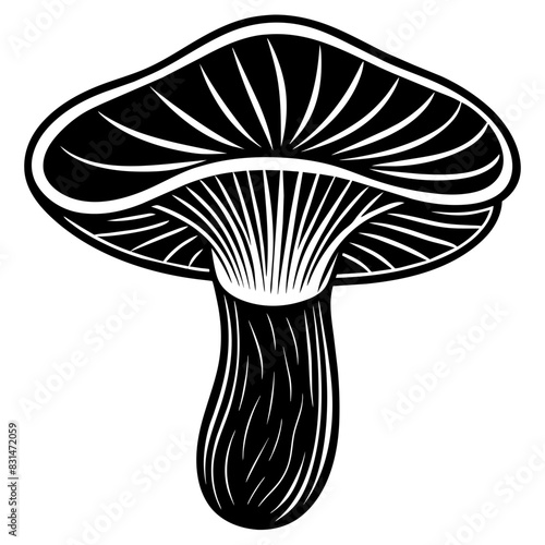 illustration of mushroom