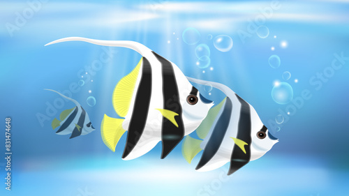 3D Tropical fishes vertical wallpaper. Striped Angel Fish, black and white colors. Transparent background. Exotic aquarium fishes isolated vector illustration