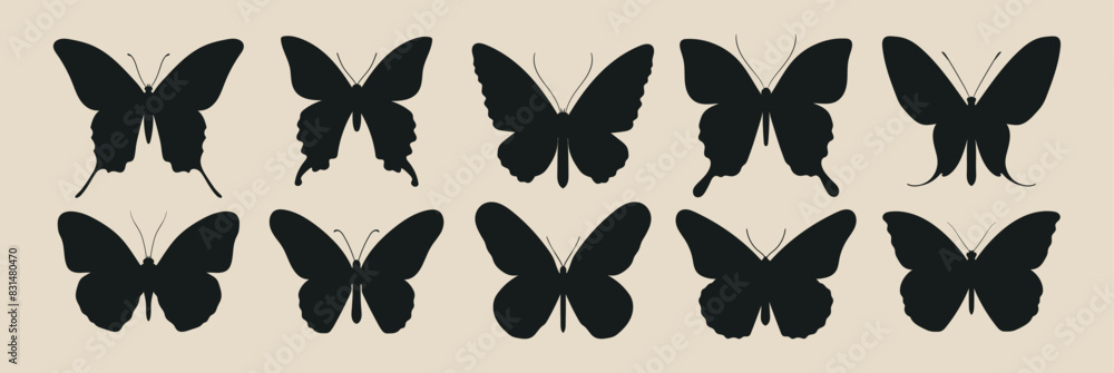 Collection of silhouettes of butterflies of different shapes. Collection of silhouettes of butterflies of different shapes.