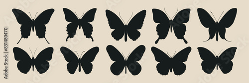 Collection of silhouettes of butterflies of different shapes.	