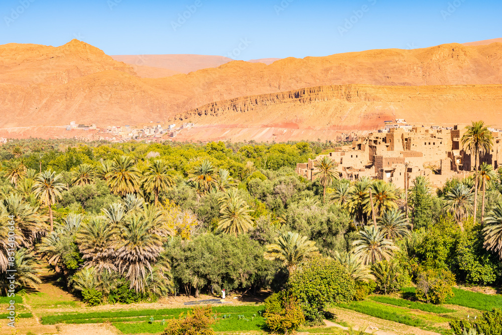 Green oasis with palm trees in Tinghir town with mountains in background, Morocco, North Africa