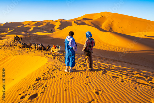 Arab men guides resting with camels on sand dune at Erg Chebbi Sahara desert at sunset near Merzouga town, Morocco, North Africa