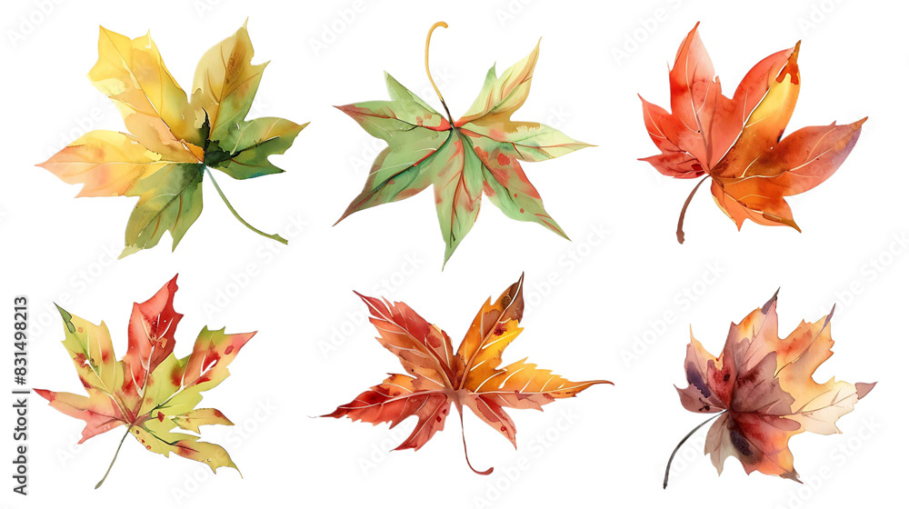 Watercolor set of autumn yellow-green leaves, hand painted illustration on transparent background Watercolor set of autumn yellow-green leaves, hand painted illustration on transparent background