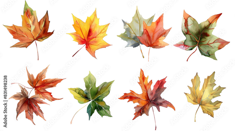 Watercolor set of autumn yellow-green leaves, hand painted illustration on transparent background Watercolor set of autumn yellow-green leaves, hand painted illustration on transparent background