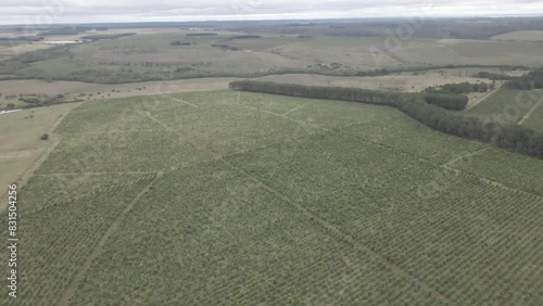 Aerial view of landscape