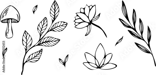Mystic magic vector line elements. Contour minimalistic hand drawn doodle in black. mysterious mushrooms, flowers, leaves, lotus flower. Outline set of elements for logo, tattoo, books, prints.