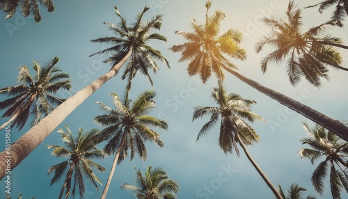 looking up at blue sky and palm trees view from below vintage style tropical beach and summer background travel concept © joesph