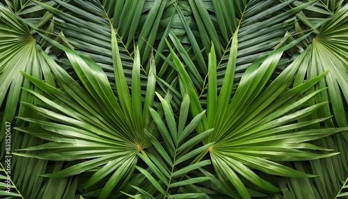 a natural pattern created by palm leaves