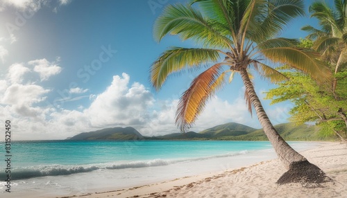 beautiful caribbean landscape with palm tree on the beach