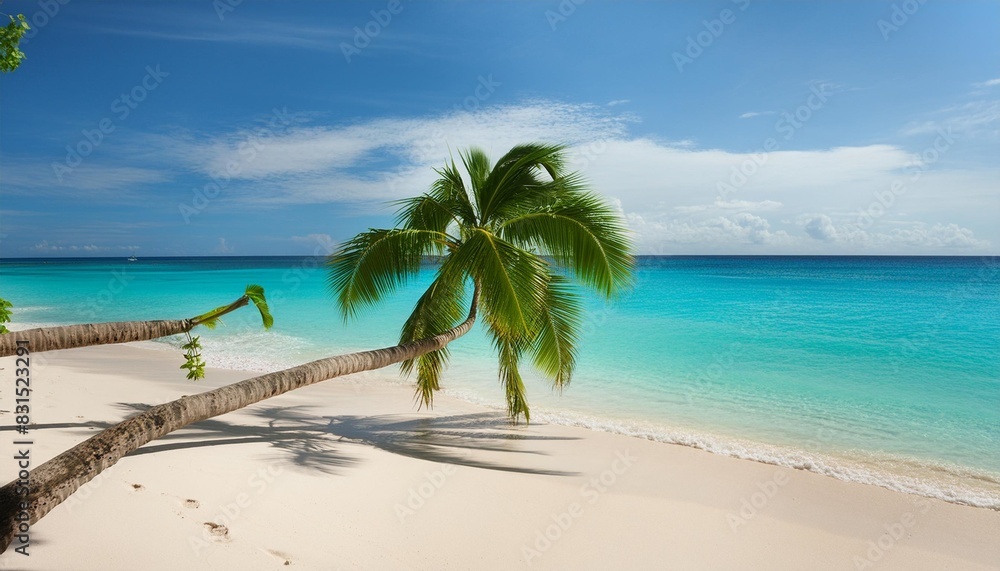 white sandy tropical summer beach background