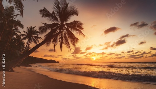 beautiful sunset on the palm beach © joesph