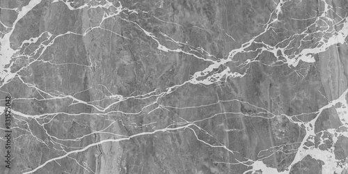 beautiful white grey marble stone texture background