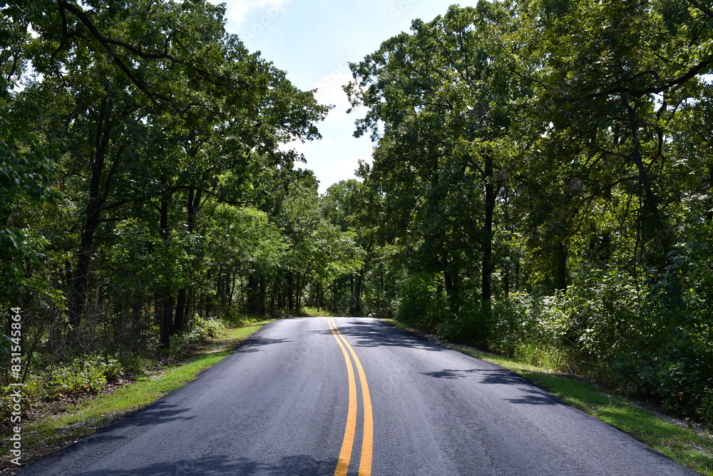 Forest Road Forest Road