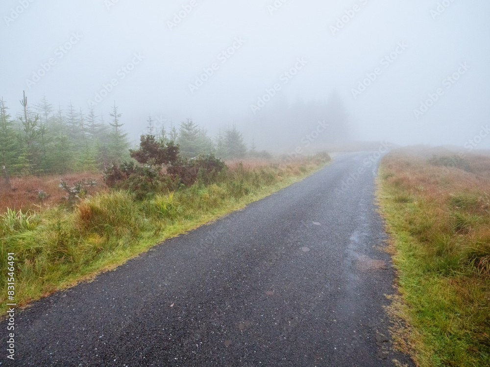 A small country foggy road with trees in the background. Dangerous driving conditions. Rural area in Ireland. Nature scene with mist. Nobody. Surreal mood and feel. A small country foggy road with trees in the background. Dangerous driving conditions. Rural area in Ireland. Nature scene with mist. Nobody. Surreal mood and feel.