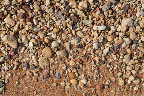 The coastline of the Red Sea. Sand, pebbles, corals, fossils. Background with a marine theme.