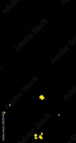 Mortar Explosion 08