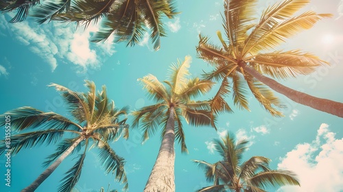 Looking up at blue sky and palm trees, view from below, vintage style, tropical beach and summer background, travel concept. 