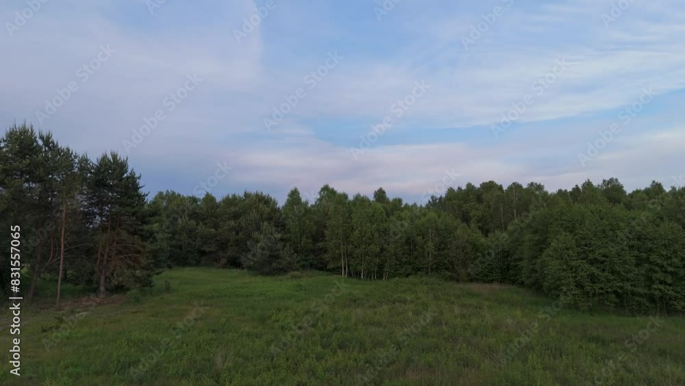 Aerial forest landscape view. Drone perspective in forest Aerial forest landscape view. Drone perspective in forest