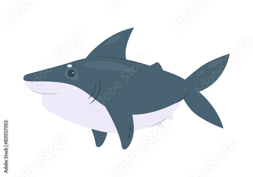 Cute shark  funny animal and aquatic predator  ocean and sea fauna vector illustration