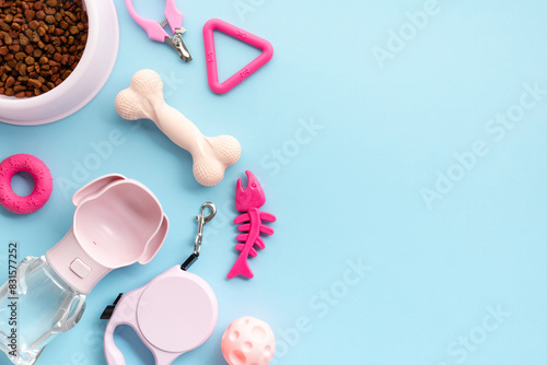 Set of pet supplies on light blue backdrop. Flat lay bowl filled with nutritious dry pet food, a playful pink rubber toy bone, a convenient pink retractable leash, a handy water bottle, whimsical toys photo