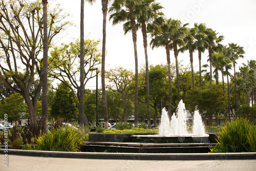 Palm lined view of a fountain in the civic center of downtown Paramount, California, USA.