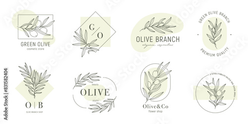 Olive label templates set with olive branches and color shapes in minimal linear style. Vector leaves and olive fruits. Greenery plants and simple frames.