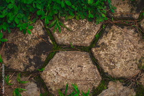 Depicts weathered stone tiles with moss and plants growing in the cracks photo