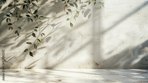 A wall with a plant growing out of it and a shadow on the wall photo