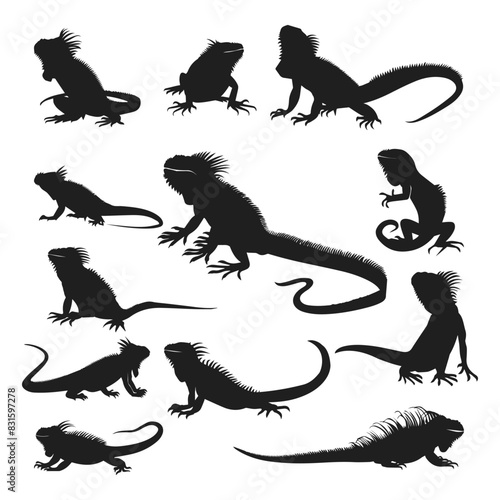 iguana silhouette set Vector