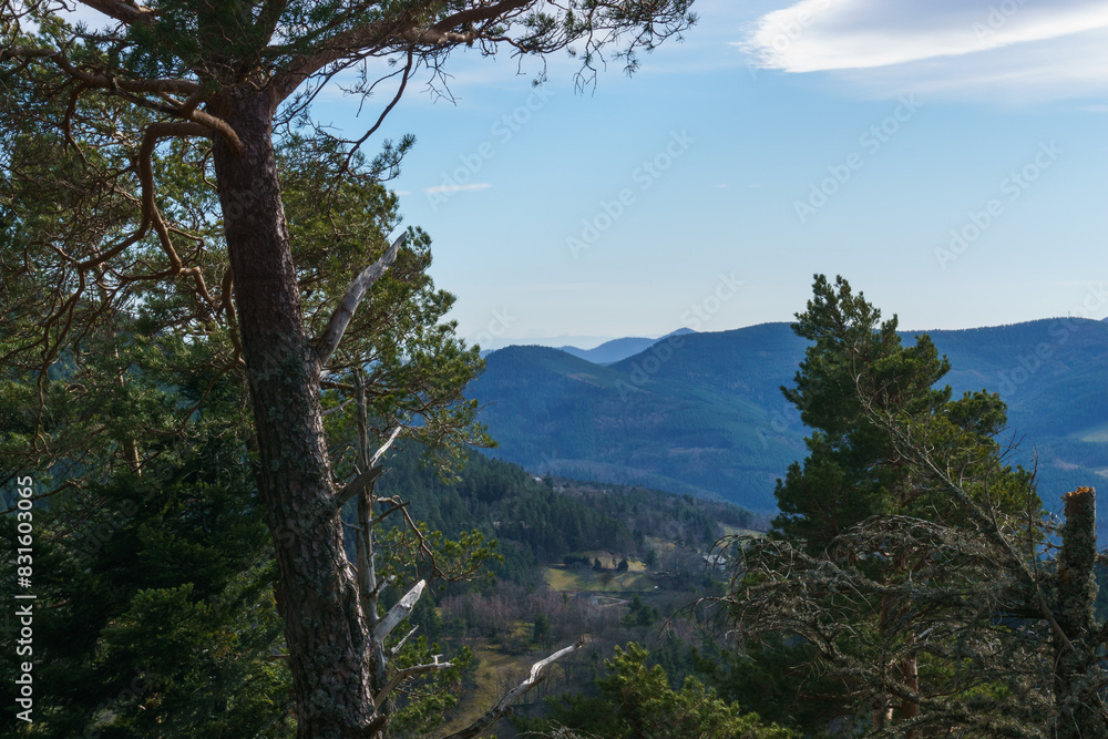 Beautiful view over the mountain landscape of Vosges on a sunny winter day, Alsace, France Beautiful view over the mountain landscape of Vosges on a sunny winter day, Alsace, France