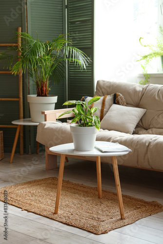 Interior of living room with green plants and sofa © Pixel-Shot