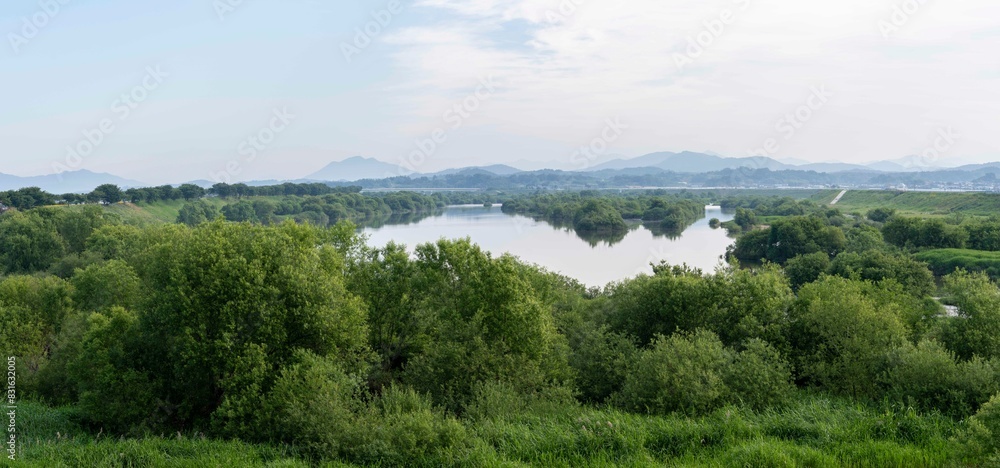 Fototapeta premium 곡성 섬진강 침실 습지 공원의 5월의 아침 풍경