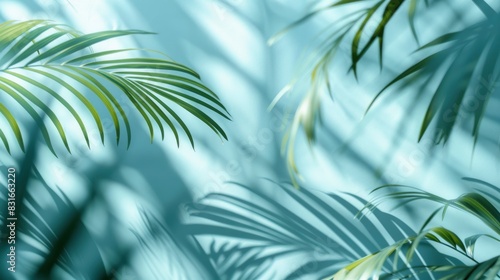 Blurred shadow from palm leaves on the light blue wall. Minimal abstract background for product presentation. Spring and summer - generative ai