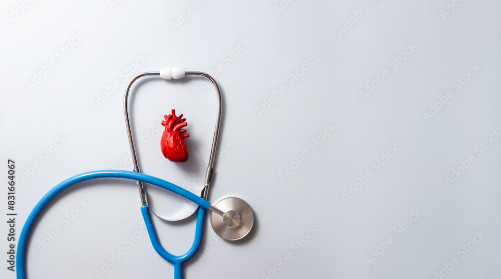 Heart model and blue stethoscope on gray background. Check-up cardiology concept. Selective focus, copy space Heart model and blue stethoscope on gray background. Check-up cardiology concept. Selective focus, copy space