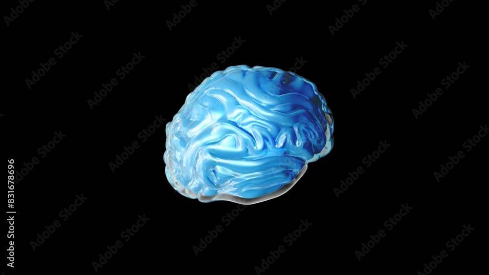 Brain 3D Brain 3D