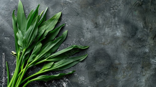 Fresh wild garlic leaves gathered from the early spring season on a flat surface photo