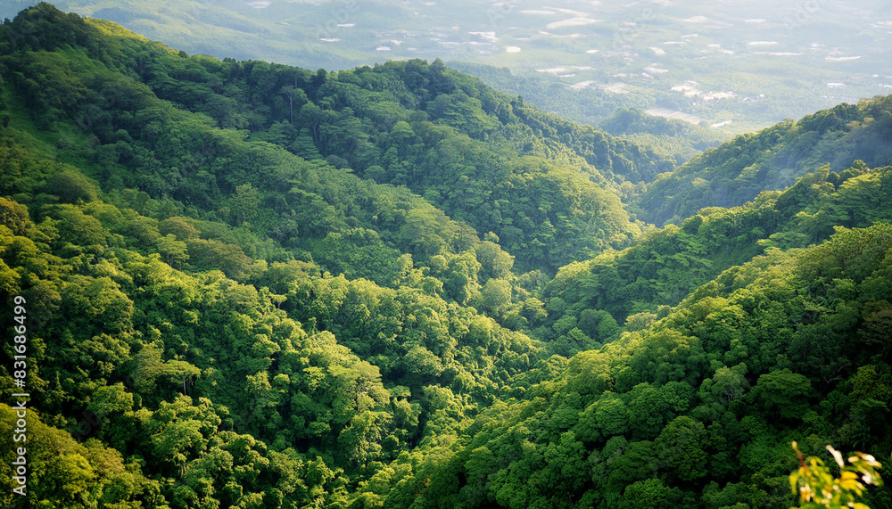 Lush Valley Vista Lush Valley Vista
