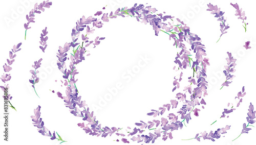 水彩画。水彩タッチのラベンダーイラスト。ラベンダーのベクターイラスト。夏のラベンダー背景。Watercolor painting. Lavender illustration with watercolor touch. Lavender vector illustration. Lavender background in summer.