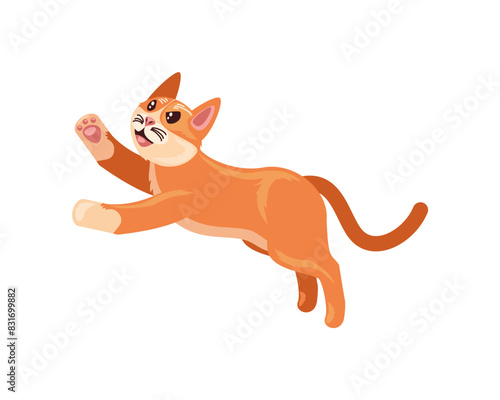 cute jumping cat domestic