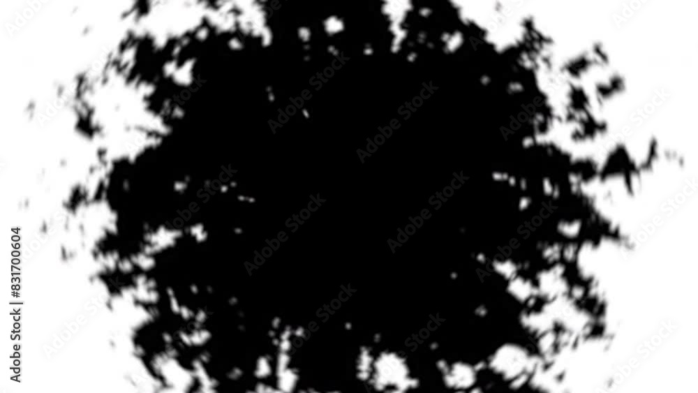 burning, fire, flame, circle, hot, black background, dust, white burning, fire, flame, circle, hot, black background, dust, white