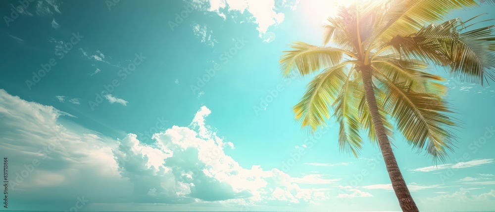 palm tree on tropical island beach wallpaper palm tree on tropical island beach wallpaper